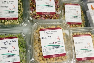 Store Photos, March 2014 (18)